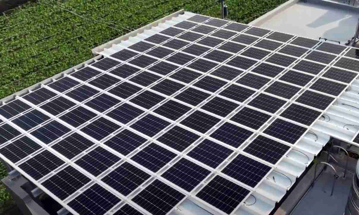 云顶国际8588ydSunSteel光电浪板升级双玻结构，，，，以提升机械负载强度及气候耐候度，，，可广泛运用于多元场域